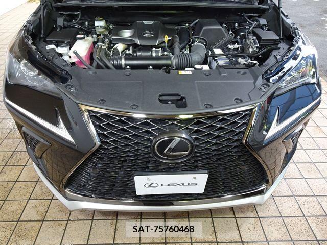 Lexus NX 2020-10 334391-26