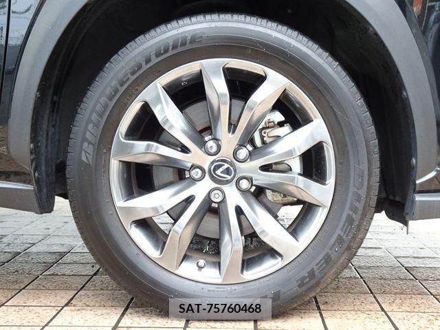 Lexus NX 2020-10 334391-29