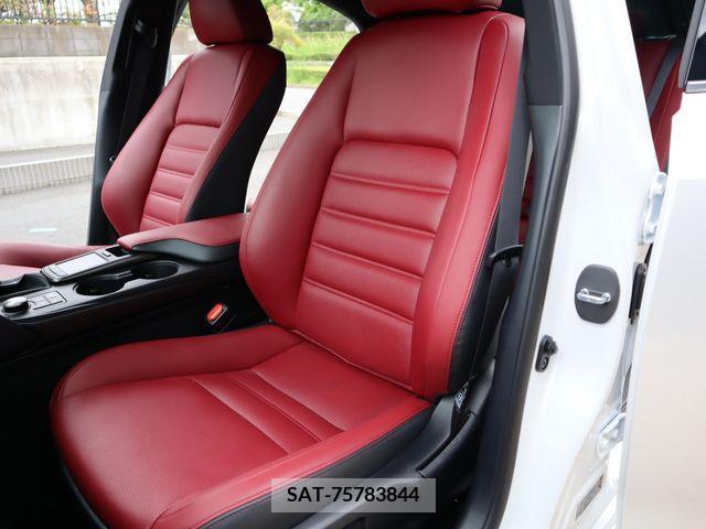 Lexus IS 2023-12 297908-9