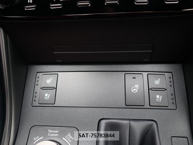 Lexus IS 2023-12 297908-16