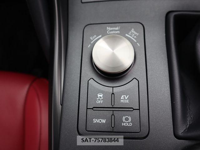 Lexus IS 2023-12 297908-21