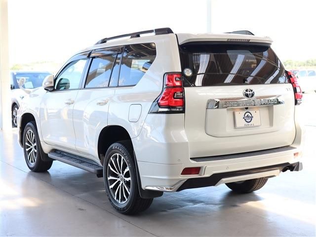 Toyota PRADO 2018-11 19860-22