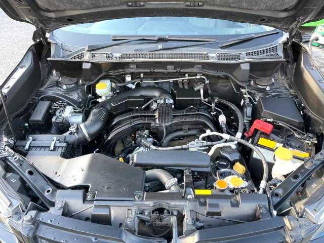 Subaru FORESTER 2018-08 189503-16