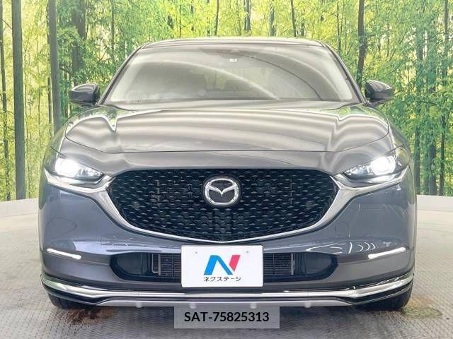 Mazda CX-30 2019-11 266458-14