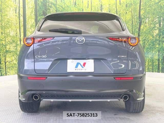 Mazda CX-30 2019-11 266458-15
