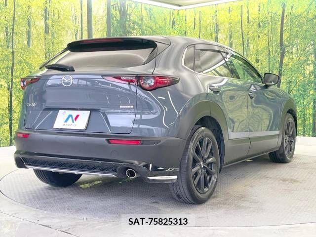 Mazda CX-30 2019-11 266458-17