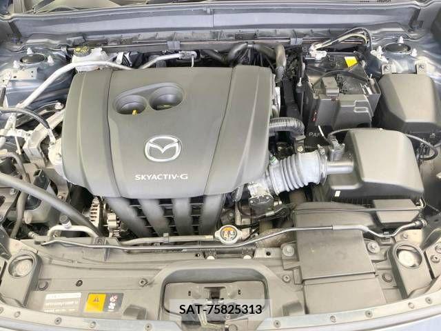Mazda CX-30 2019-11 266458-18
