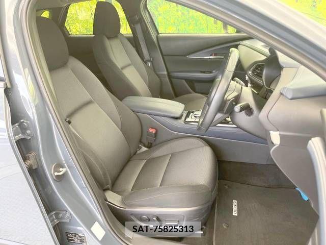 Mazda CX-30 2019-11 266458-8