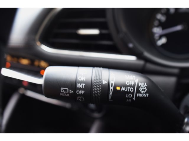 Mazda MAZDA3 2020-03 14342-22