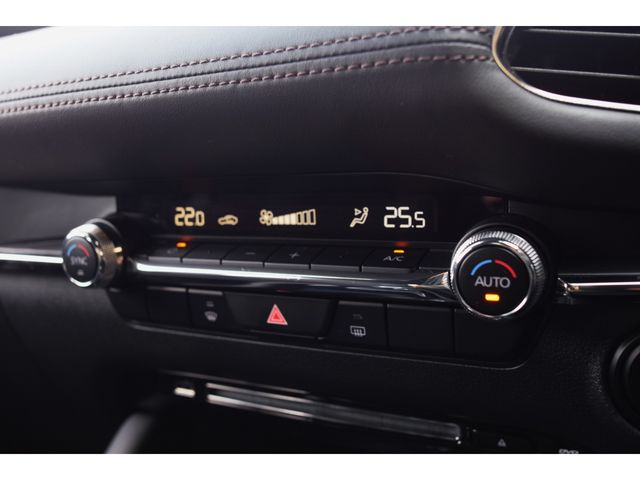 Mazda MAZDA3 2020-03 14342-27