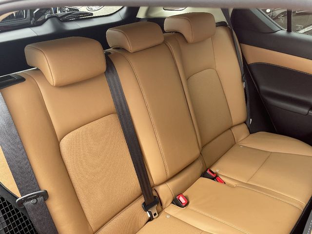 Lexus CT 2015-01 21745-6