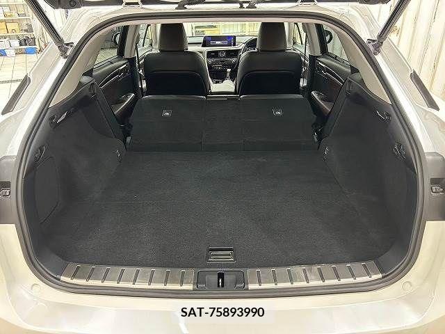 Lexus RX 2017-03 299701-10
