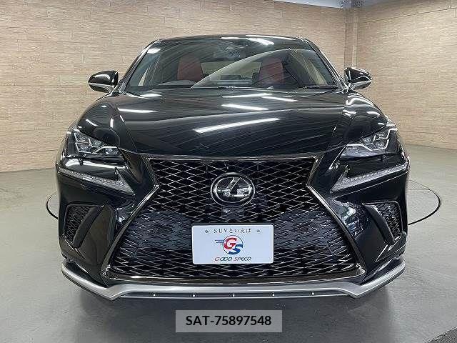 Lexus NX 2018-12 275632-16