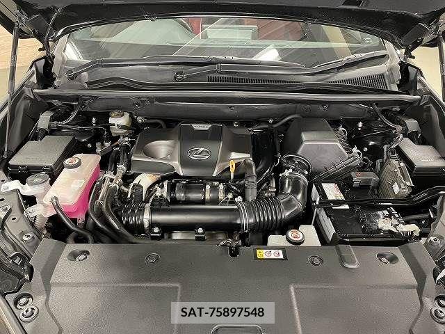 Lexus NX 2018-12 275632-13