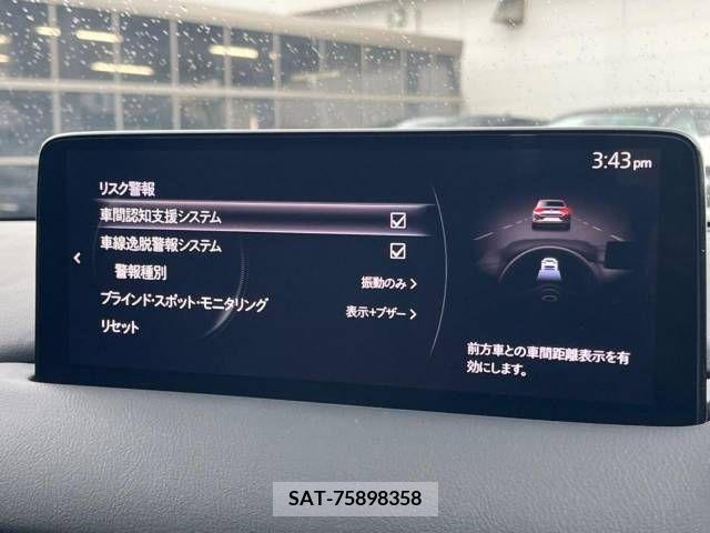Mazda CX-8 2021-02 266180-4
