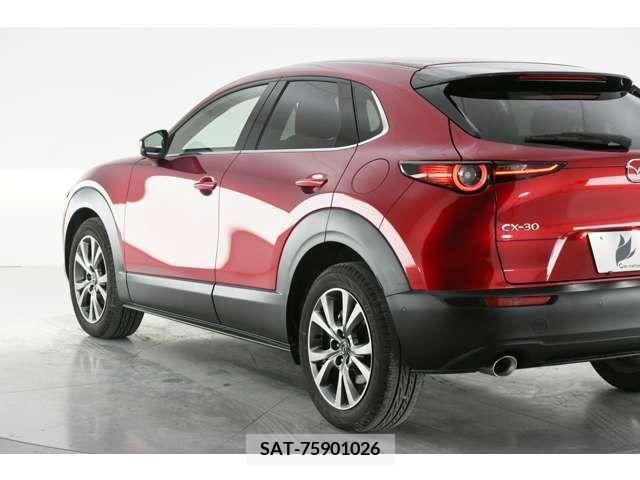 Mazda CX-30 2019-12 231639-6