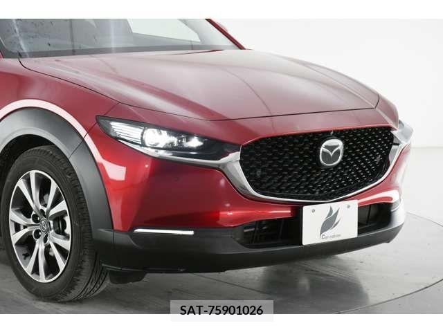Mazda CX-30 2019-12 231639-2