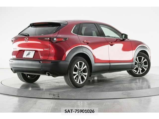 Mazda CX-30 2019-12 231639-1