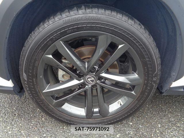 Lexus NX 2023-02 334440-29