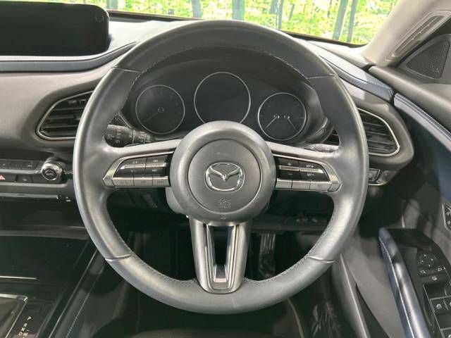Mazda CX-30 2021-02 180479-11