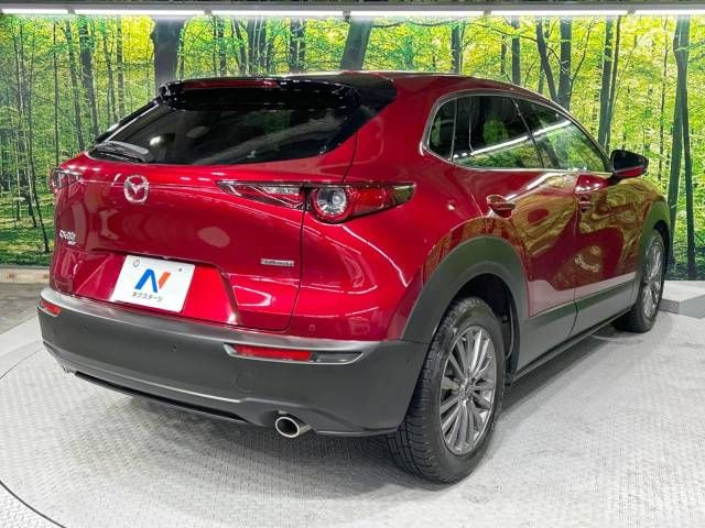 Mazda CX-30 2021-02 180479-17