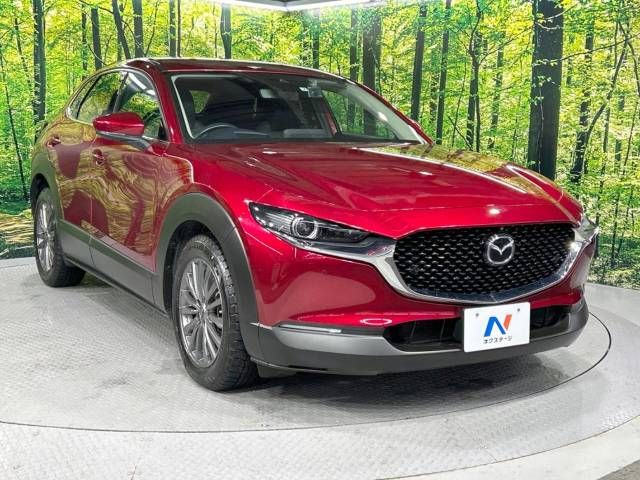 Mazda CX-30 2021-02 180479-16