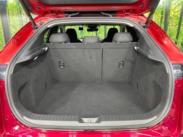 Mazda CX-30 2021-02 180479-10