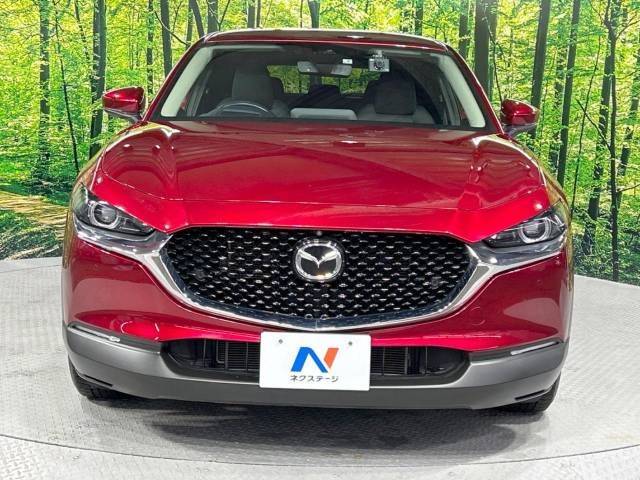 Mazda CX-30 2021-02 180479-14
