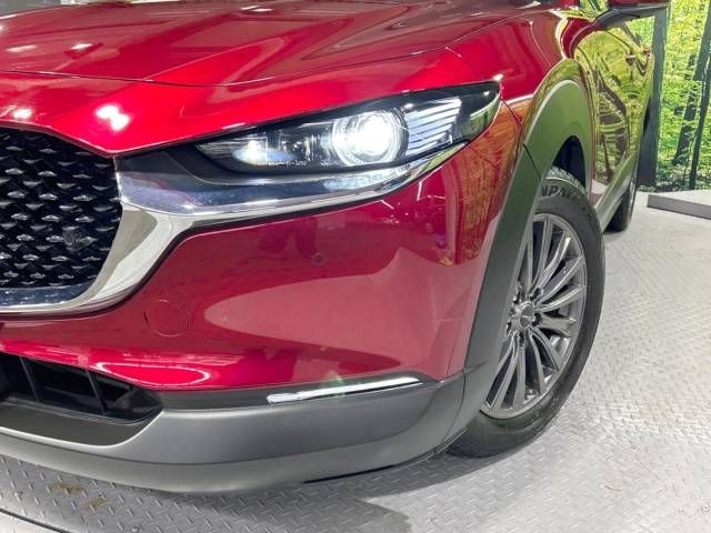 Mazda CX-30 2021-02 180479-12