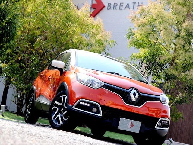 Renault CAPTUR 2015-03 16196-3