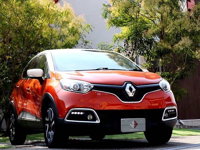 Renault CAPTUR 2015-03 16196-6
