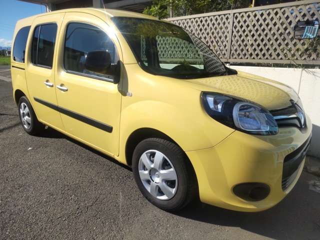 Renault KANGOO 2017-06 11294-1