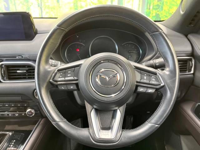 Mazda CX-8 2019-09 181389-12