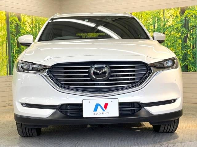 Mazda CX-8 2019-09 181389-15