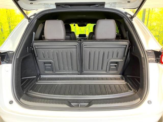 Mazda CX-8 2019-09 181389-11