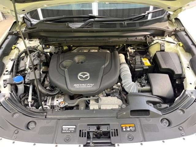 Mazda CX-8 2019-09 181389-18