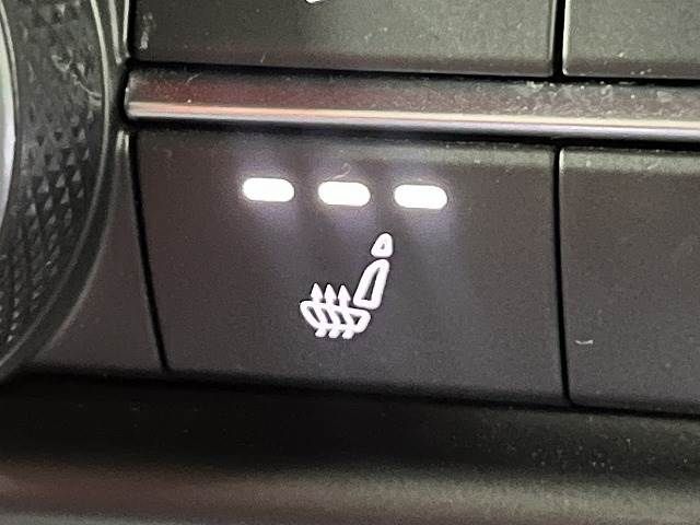 ALFA ROMEO STELVIO 2019-12 196586-6