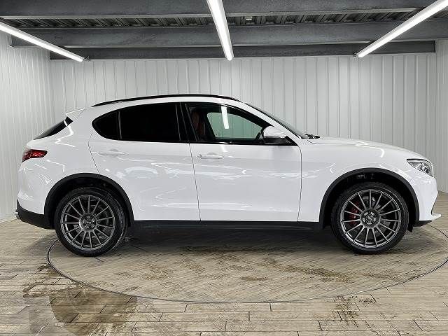 ALFA ROMEO STELVIO 2019-12 196586-13