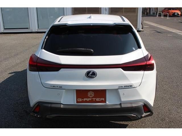 Lexus UX 2019-03 5340-9