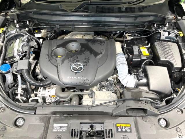 Mazda CX-8 2020-03 28919-18
