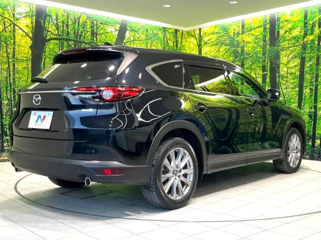 Mazda CX-8 2020-03 28919-17