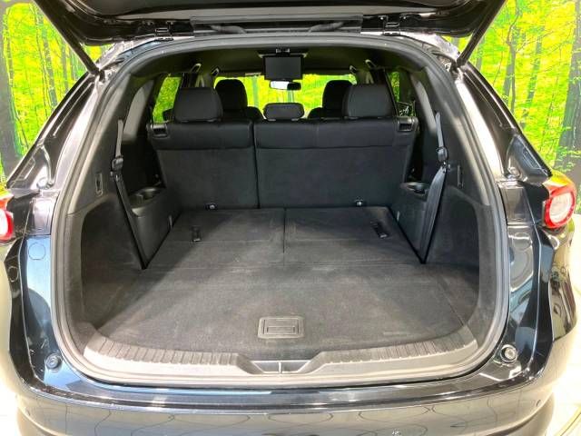 Mazda CX-8 2020-03 28919-10