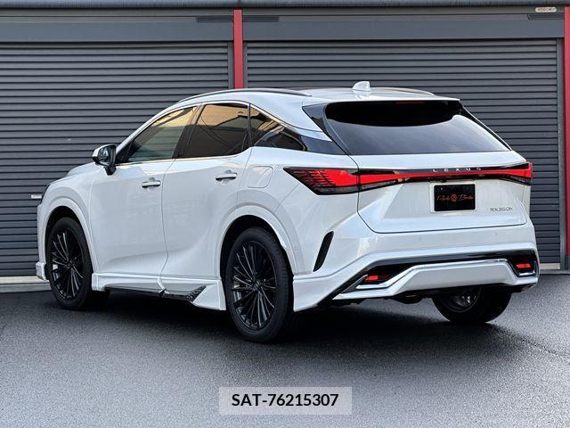 Lexus RX 2023-12 354156-28