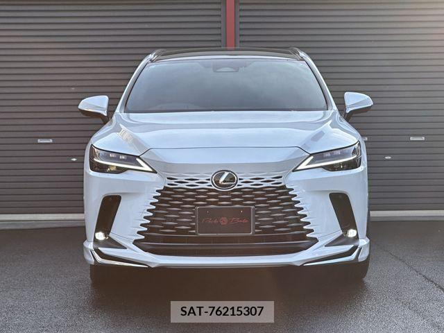 Lexus RX 2023-12 354156-24