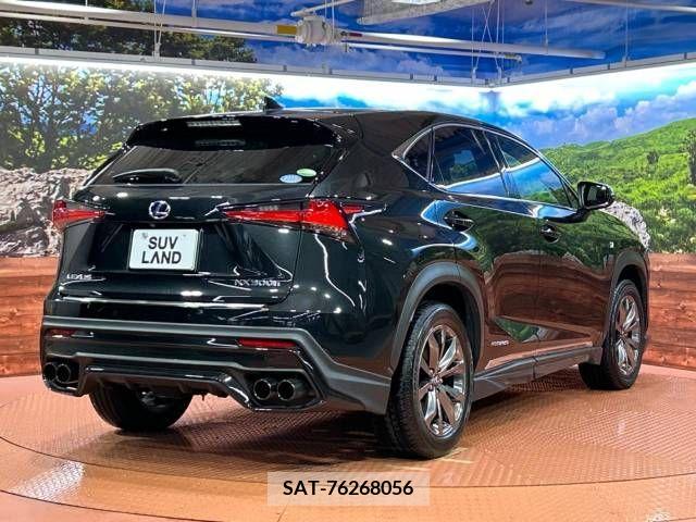 Lexus NX 2020-05 241553-17