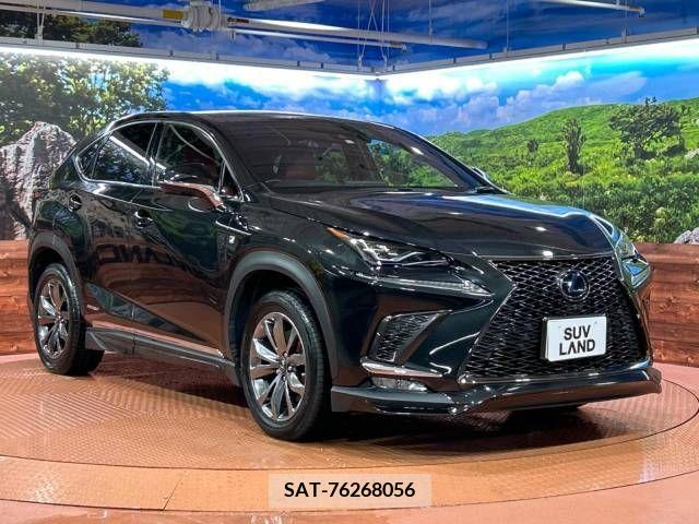 Lexus NX 2020-05 241553-16