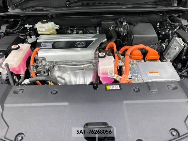 Lexus NX 2020-05 241553-18