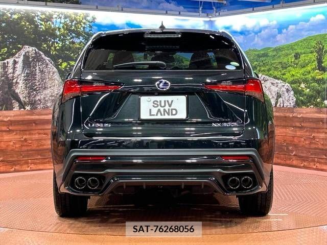 Lexus NX 2020-05 241553-15