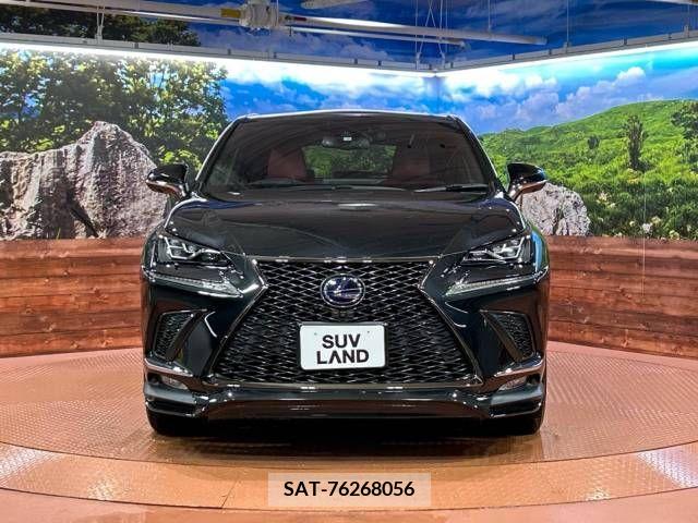 Lexus NX 2020-05 241553-14