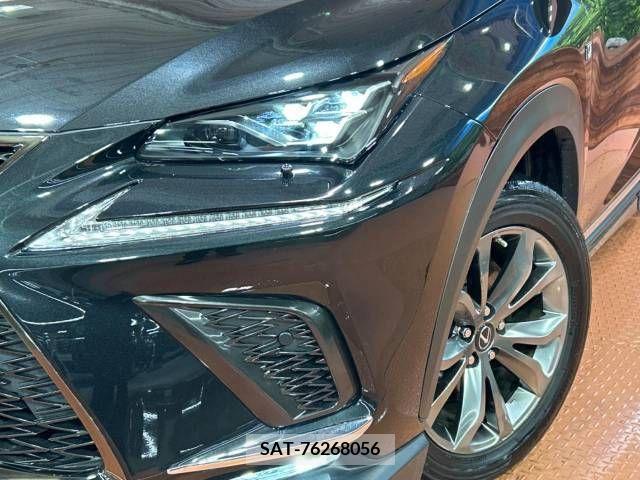 Lexus NX 2020-05 241553-13